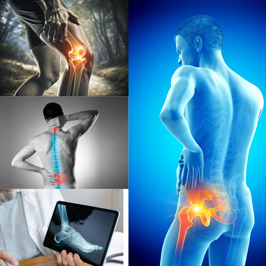 WhatsApp Image 2025-09-29 at 14.53.44_2ec67274