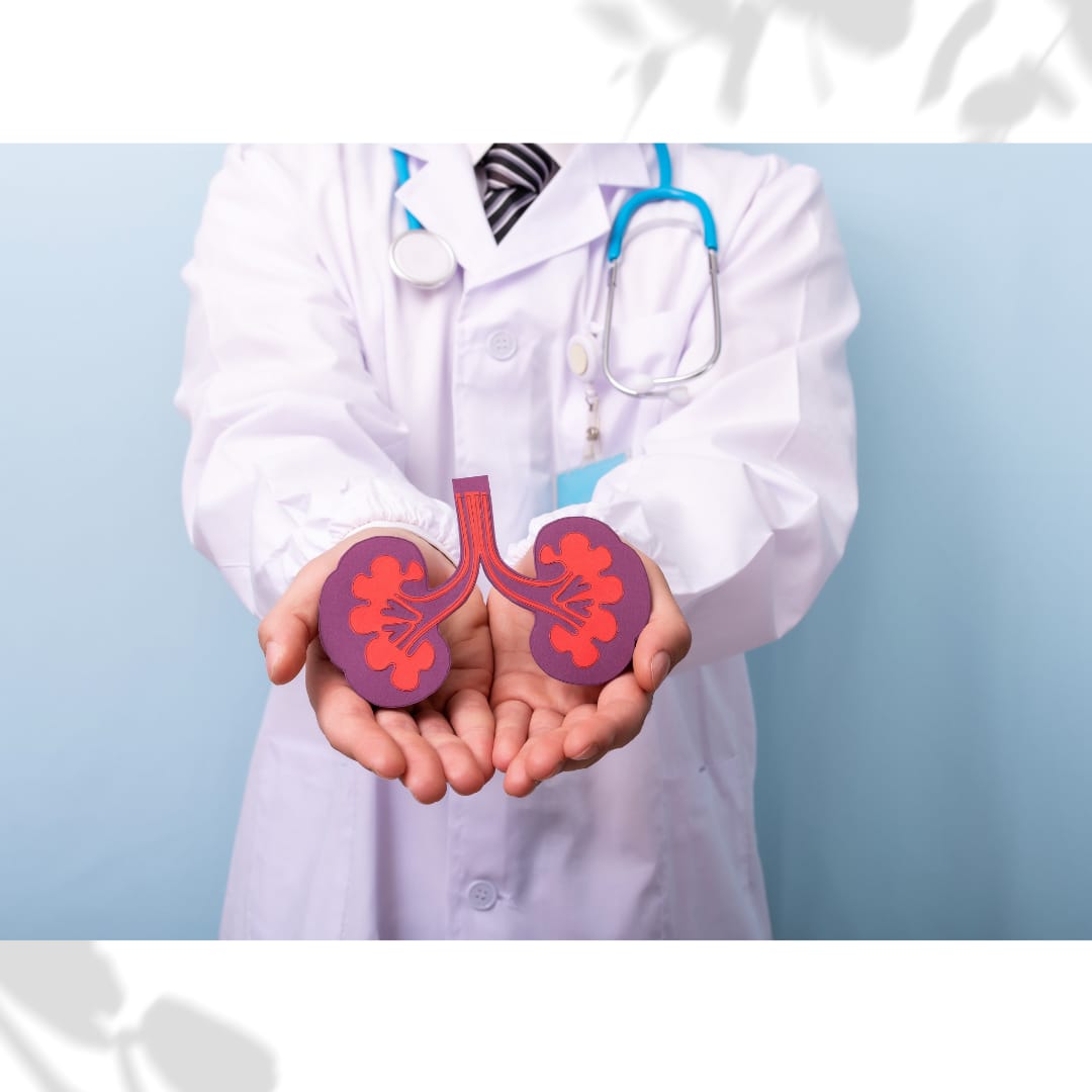 WhatsApp Image 2025-09-29 at 14.54.36_bbae2810