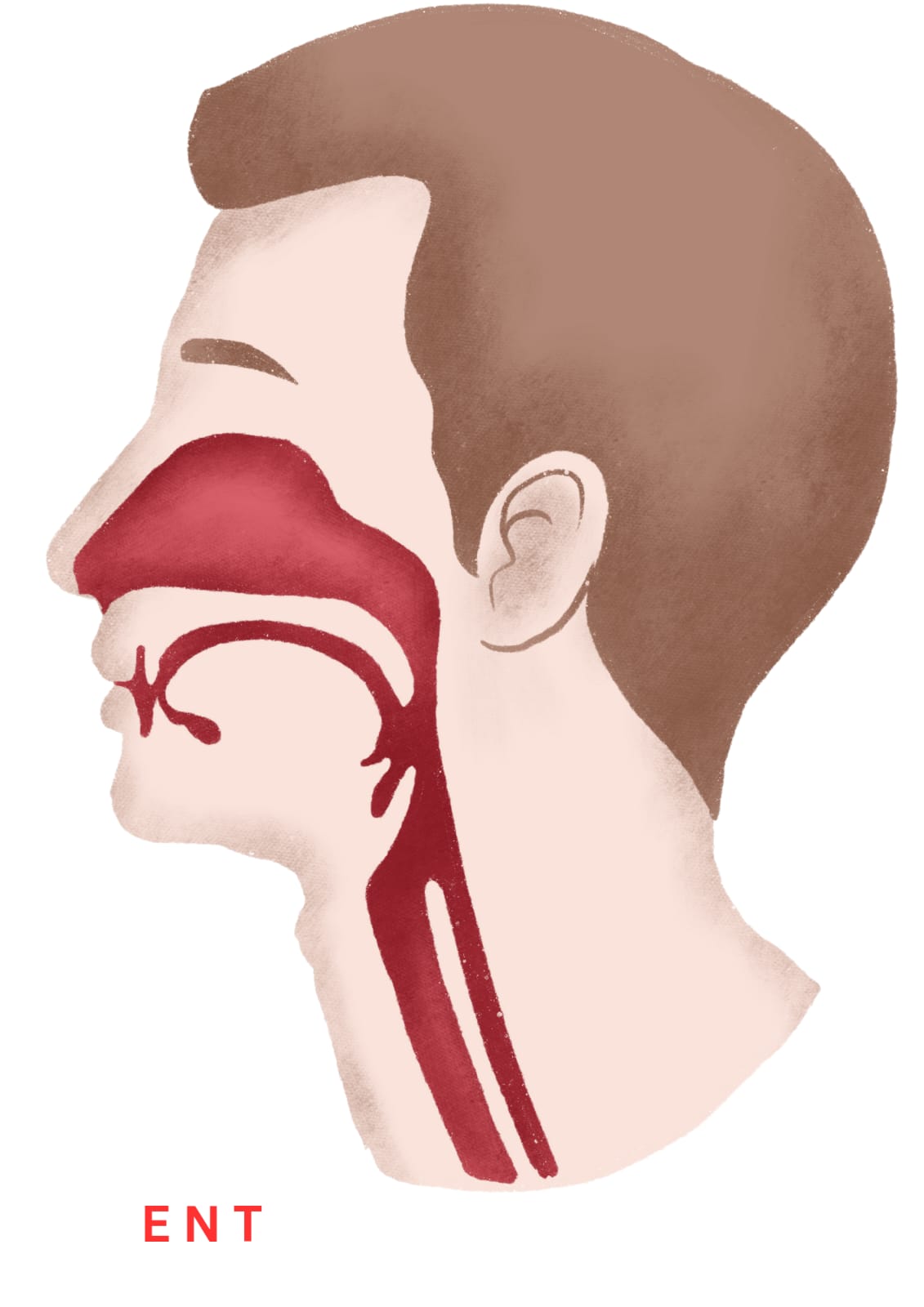 WhatsApp Image 2025-10-03 at 21.26.13_d3ee0f13