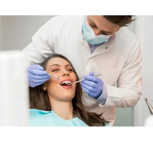 WhatsApp Image 2025-10-08 at 23.18.05_30385a5a