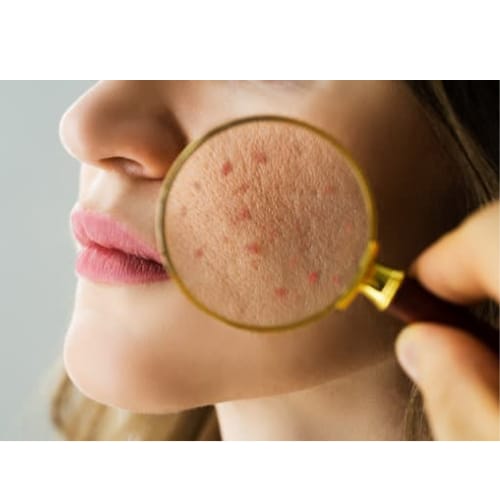 WhatsApp Image 2025-10-08 at 23.18.05_8cf8dea1