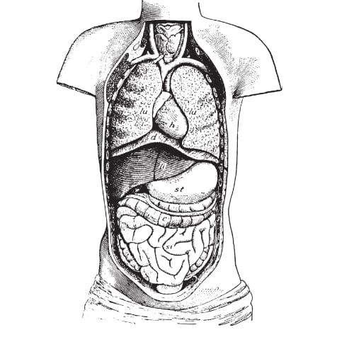 WhatsApp Image 2025-10-08 at 23.18.06_7a9ce3eb