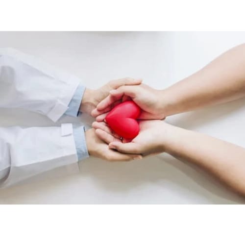 WhatsApp Image 2025-10-08 at 23.18.07_e751197e