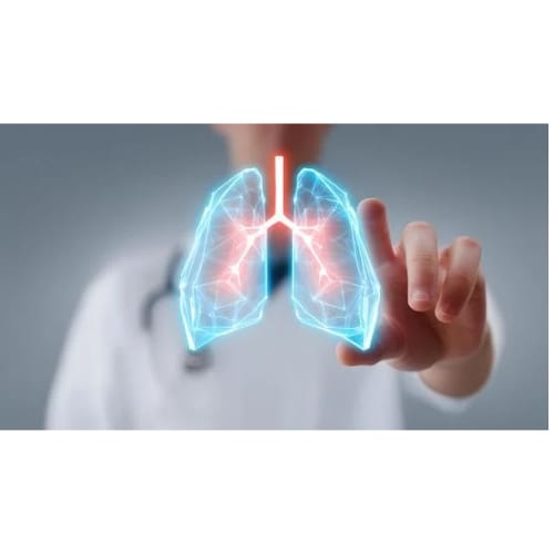 WhatsApp Image 2025-10-08 at 23.18.09_79cc8623