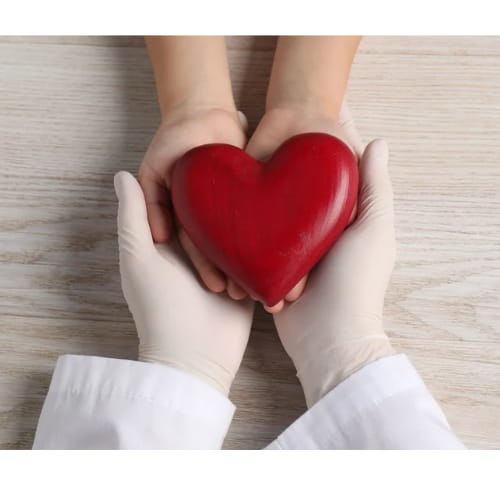 WhatsApp Image 2025-10-08 at 23.18.10_85e12bfe