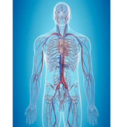 WhatsApp Image 2025-10-08 at 23.18.10_e49ac5d0