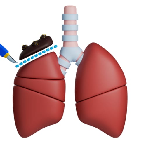 WhatsApp Image 2025-10-08 at 23.18.11_db61d0cf