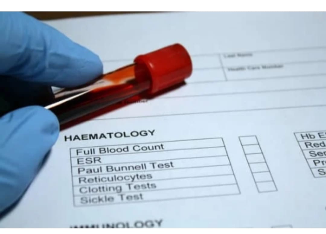 WhatsApp Image 2025-10-08 at 23.18.12_90613757